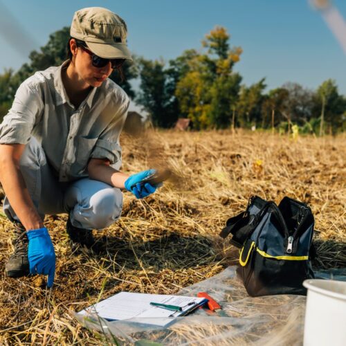 Expertise en ingénierie du sol et des infrastructures, QUEL IMPACT L'ÉTUDE DE SOL A-T-ELLE POUR VOTRE PROJET !